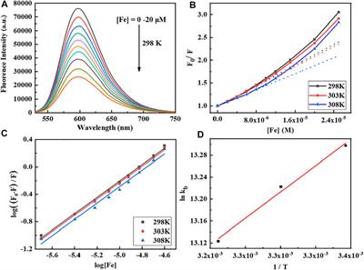 Spectroscopy, Structure, Biomacromolecular Interactions, and Antiproliferation Activity of a Fe(II) Complex With DPA-Bpy as Pentadentate Ligand